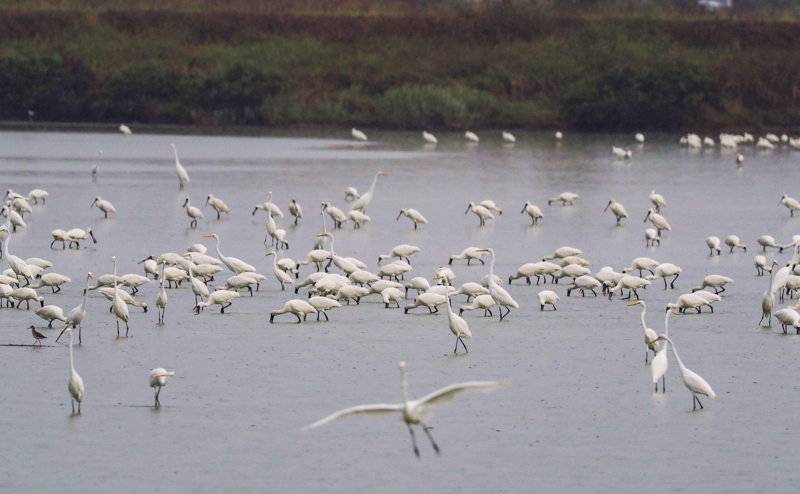 嘉義季節限定美景 雲瀑琉璃光美不勝收 嘉義季節限定美景 雲瀑琉璃光美不勝收