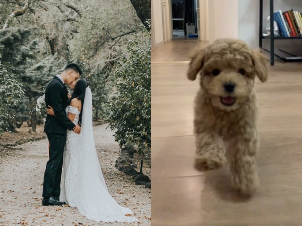 林書豪「婚」了!春節震撼發文有老婆孩子陪過農曆年 林書豪「婚」了!春節震撼發文有老婆孩子陪過農曆年