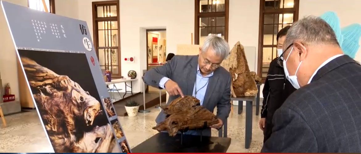 影音/木藝創作 張亦其為漂流木賦予新生 影音/木藝創作 張亦其為漂流木賦予新生