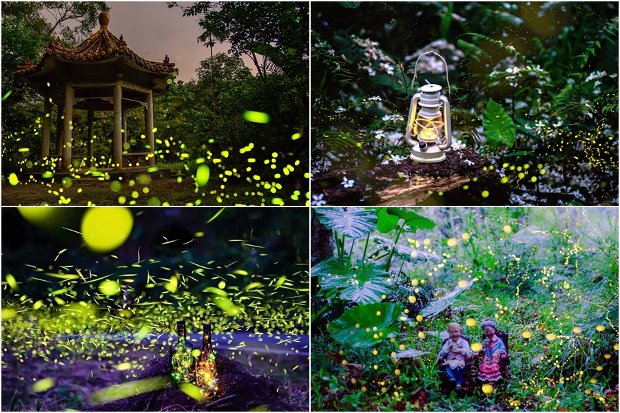 2023蘭陽星空賞螢季開跑 「螢河&銀河」等您來觀賞 2023蘭陽星空賞螢季開跑 「螢河&銀河」等您來觀賞