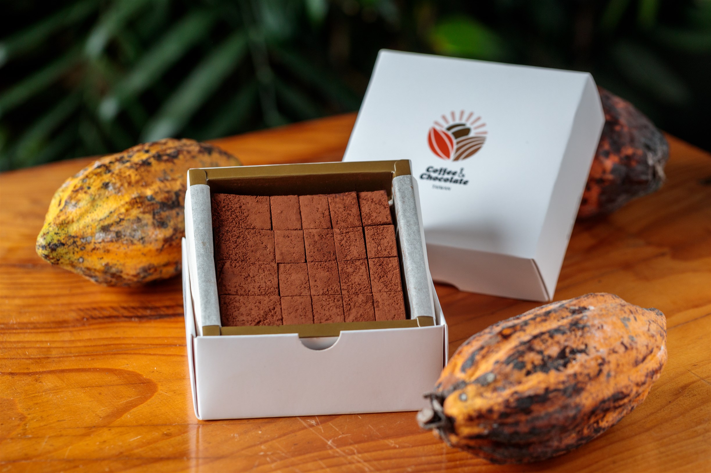 屏東牛角灣巧克力咖啡農園 屏東牛角灣巧克力咖啡農園