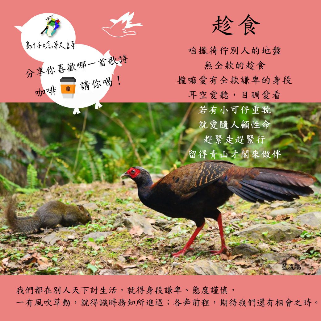 2023觀鳥馬拉松趣味生態教育 鳥仔唸歌送咖啡好康最後三天 2023觀鳥馬拉松趣味生態教育 鳥仔唸歌送咖啡好康最後三天