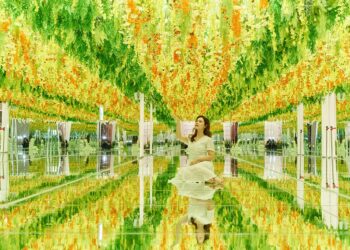 連假百元暢玩嘉義「蓋婭莊園」猶如置身歐洲　春日出遊推薦新展區逆光花廊與花海共舞