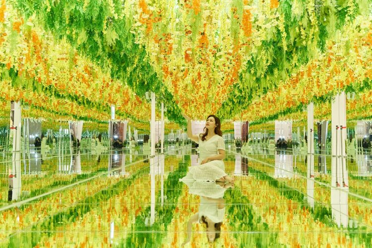 連假百元暢玩嘉義「蓋婭莊園」猶如置身歐洲 春日出遊推薦新展區逆光花廊與花海共舞 連假百元暢玩嘉義「蓋婭莊園」猶如置身歐洲 春日出遊推薦新展區逆光花廊與花海共舞