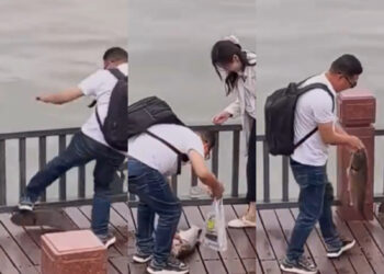 在河邊遇到擱淺的大魚，你會怎麼處理呢？（圖／翻攝自微博）