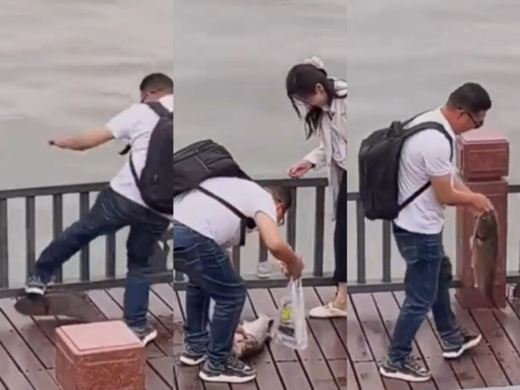 大魚突然跳上岸　男子英勇施救帶回家