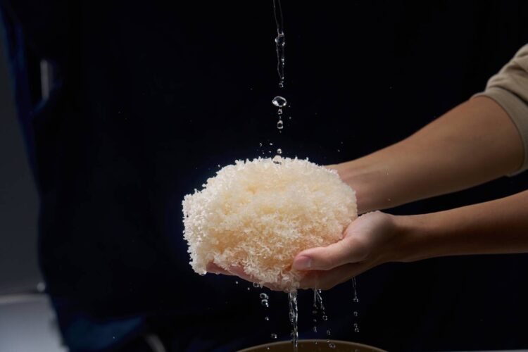 傳統智慧現代健康  酸回家的創新之道 傳統智慧現代健康  酸回家的創新之道