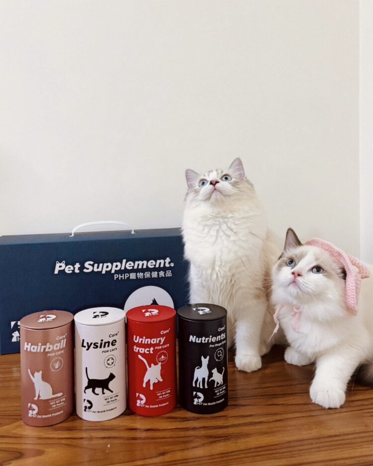 全方位呵護您的毛孩:PHP多國專利寵物保健食品 全方位呵護您的毛孩:PHP多國專利寵物保健食品