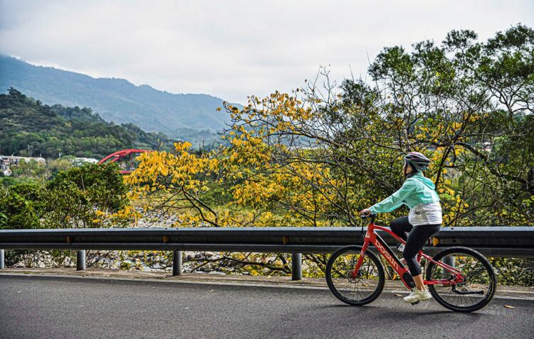 『花現參山』秋冬單車尋花蹤　租用公共自行車旅遊獅頭山更輕鬆 落羽松、無患子、楓葉即將進入轉紅及染黃最美時節