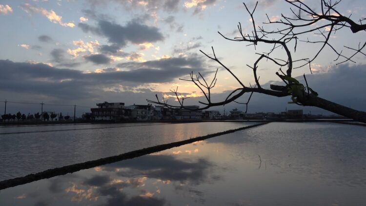 影音╱強烈大陸冷氣團影響　全台冷吱吱