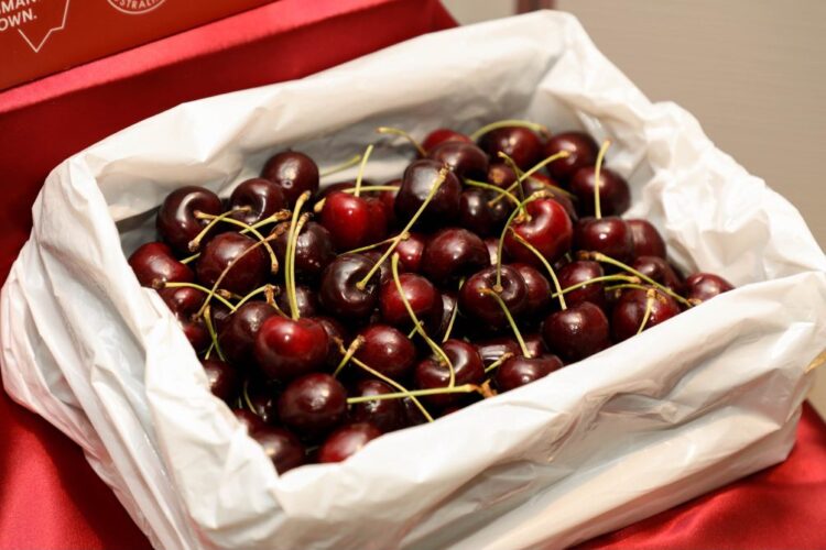 影音／塔斯馬尼亞櫻桃季正式登場　引爆春節甜蜜商機