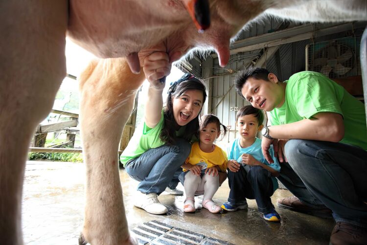 迎新年農業易遊網全新改版　逛網站查春遊資訊填問卷抽大獎