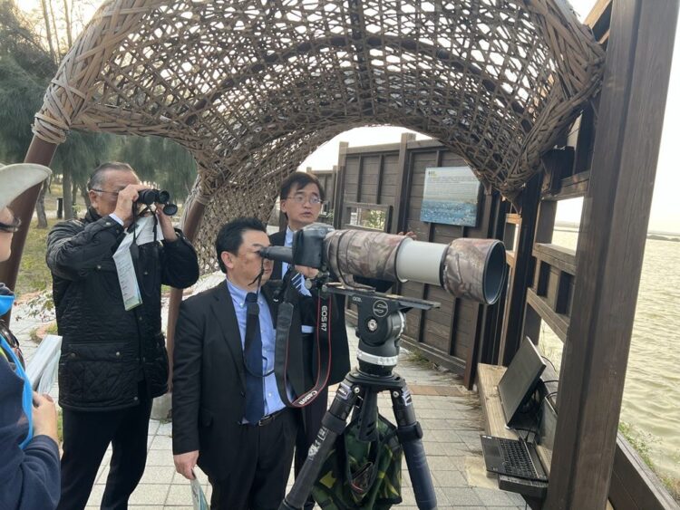 日本出水市代表團走訪雲嘉南濱海體驗鳥類生態及永續觀光　搭乘彩繪賞鳥車探索捕捉繁殖羽換新裝風采