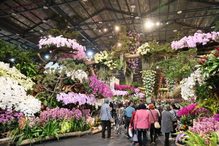 台南擁台灣蘭花核心基地 市長黃偉哲:全球蘭花市場的領導者 台南擁台灣蘭花核心基地 市長黃偉哲:全球蘭花市場的領導者
