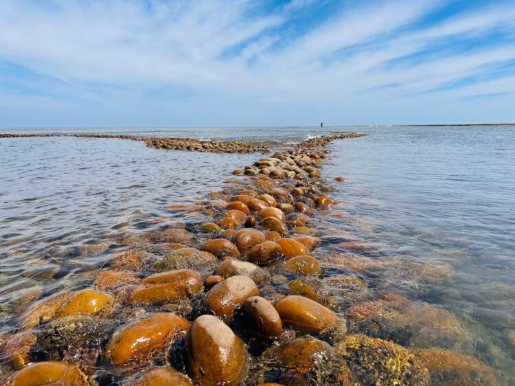 珍珠海岸產業升級啟動!攜手共創永續觀光 6/17、18說明會登場,業者報名倒數中! 珍珠海岸產業升級啟動!攜手共創永續觀光 6/17、18說明會登場,業者報名倒數中!