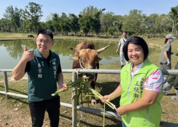 疑遭受虐南投牛入籍台南 議員跨縣市共同撫養