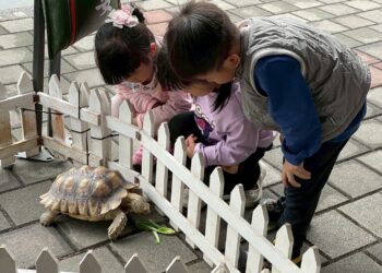 「好客民宿嘉年華」全台巡迴圓滿落幕！ 吸引近4,000人次參與，線上抽獎得獎名單公布