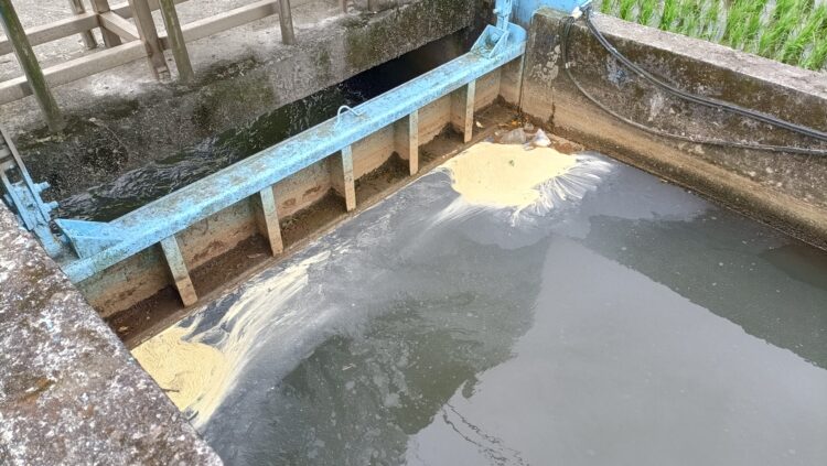 影音/壯圍鄉圳溝遭偷排放 農民憂灌溉水遭汙染