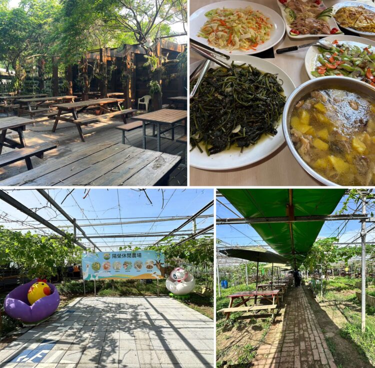 夏日消暑推薦！桃園珍珠海岸清涼農遊 體驗大王蓮水上漂、鮮採瓜果及產地風土餐桌